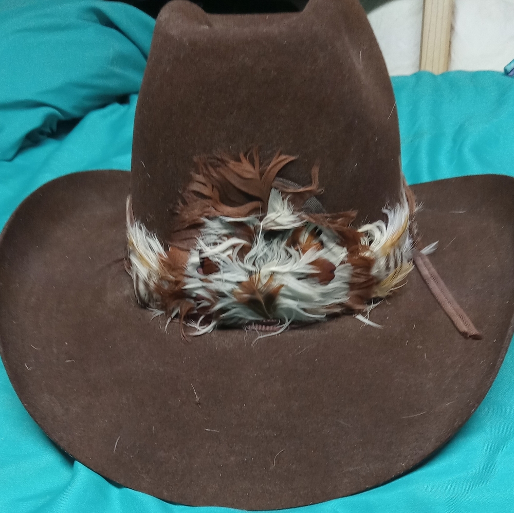 Men's cowboy hat